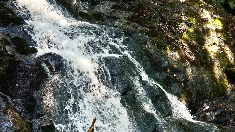 4. Cachoeira do Engordador  Parque Estadual da Cantareira - A cachoeira mais perto de São Paulo na lista é a Cachoeira do Engordador, a apenas 24 quilômetros do centro. O parque fica aberto de quarta a domingo e feriados, das 8h às 17h. A entrada custa R$ 55 (inteira) e R$ 27,50 (meia-entrada) - (Divulgação/Parque Estadual Cantareira)