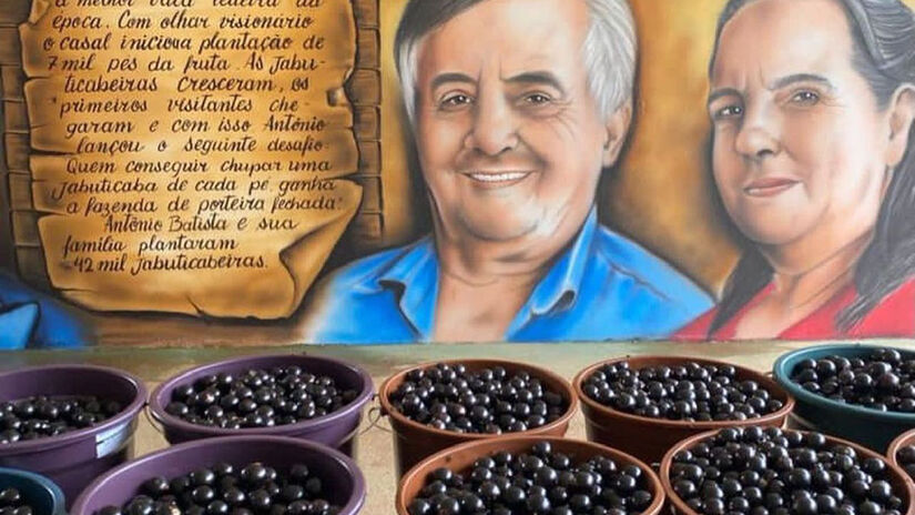 A história da Fazenda Jabuticabal começa no ano de 1947, com a plantação de 7 mil pés de jabuticaba - Foto: Divulgação Fazenda Jabuticabal