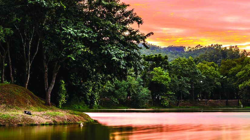 Pinhal (como também é chamada), fica em um planalto com campos suavemente ondulados, a uma altitude média de 900 metros acima do nível do mar. com clima tropical de altitude e subtropical, seus invernos são secos - (Divulgação/Comtur)