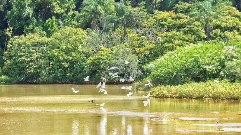 O nível de poluição do local é mais baixo que a média nacional. A temperatura média anual é de 19,6 &ordm;C, o que segundo os moradores e visitantes, contribui para tornar o local muito agradável - (Cristiano Souza/Google Reviews)