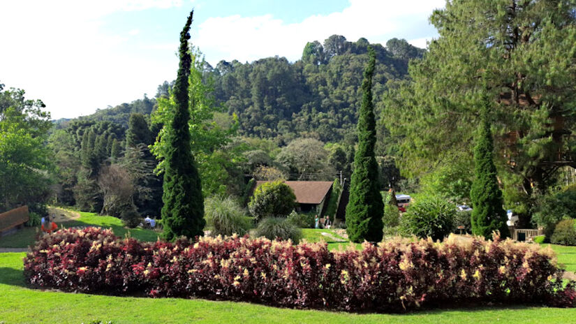 O espaço conta com muita beleza natural e cerca de 550 espécies botânicas, além de jardins inspirados em 12 países (como Alemanha, França, China e Japão), o que proporciona belíssimas fotos - (André Toso/Google Reviews)