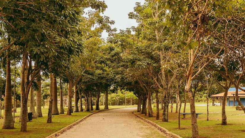 Parque Praia do Sol - Foto: Daniel Reis/Secretaria do Verde e do Meio Ambiente

 