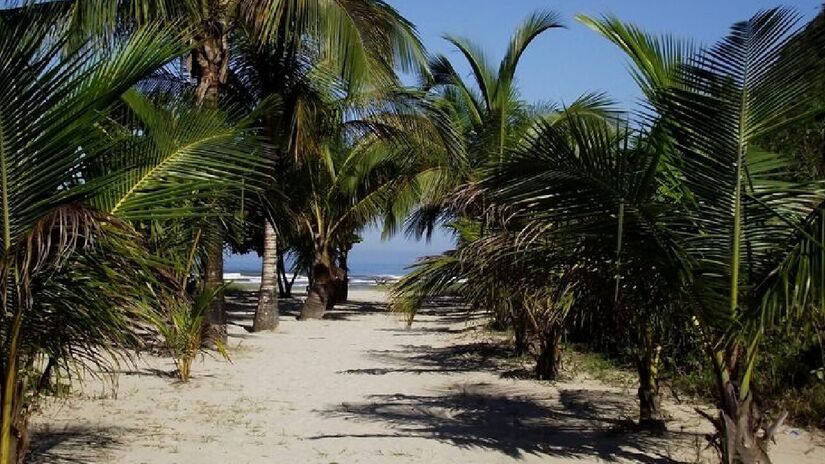 Apesar do acesso mais difícil por conta de serras e estradas de pedra, a praia Caramborê é perfeita para quem quer se isolar.  Não há sinal de celular. Ou seja: se prepare para ficar completamente off - (Divulgação)