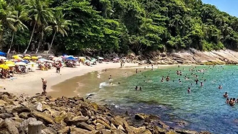 Uma pequena e encantadora praia em meio ao paraíso! É essa a sensação que temos ao chegar na praia do Éden que fica na reserva ecológica do Sorocotuba. É possível ver boa parte da fauna local neste praia - (Divulgação)