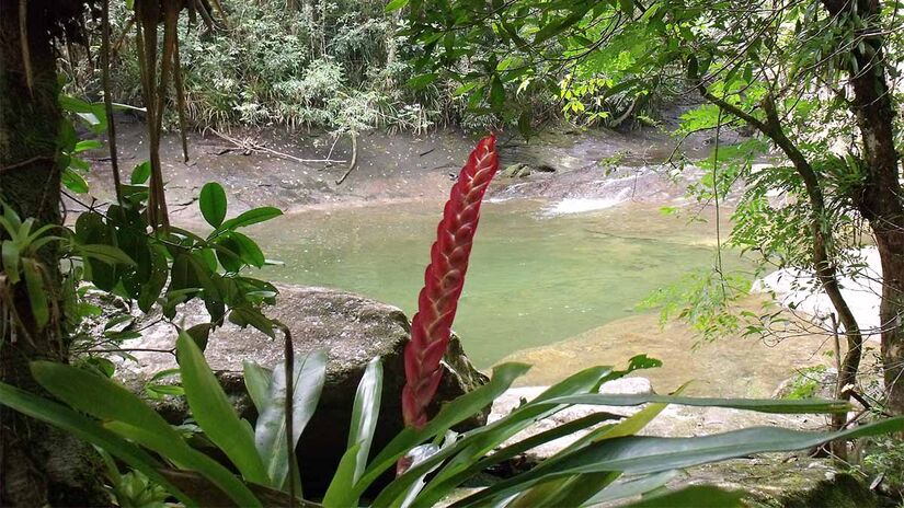 A Jureia também pode ser acessada por meio da cidade de Peruíbe - Foto: Acervo Fundação Florestal