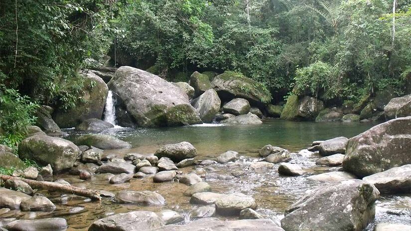 A Serra da Jureia fica na cidade de Iguape, município distante cerca de 226 quilômetros de São Paulo - Foto: Acervo Fundação Florestal