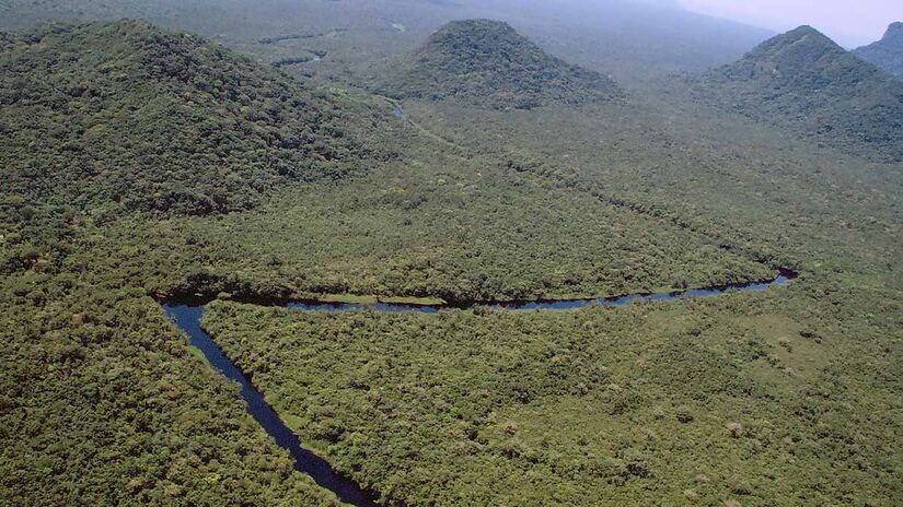 Criada em 1987, a Jureia também teve suas serras tombadas pelo Conselho de Defesa do Patrimônio Histórico, Arqueológico, Artístico e Turístico do Estado de São Paulo - Foto: Acervo Fundação Florestal