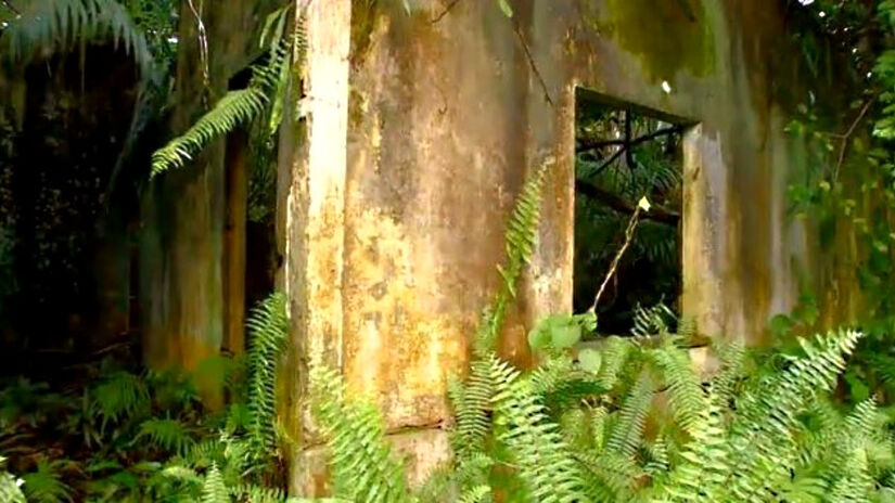 Desde 2005, as ruínas da cidade de Velho Airão foram tombadas pelo Instituto do Patrimônio Histórico e Artístico Nacional (IPHAN) - Foto: Reprodução Rede Amazonica