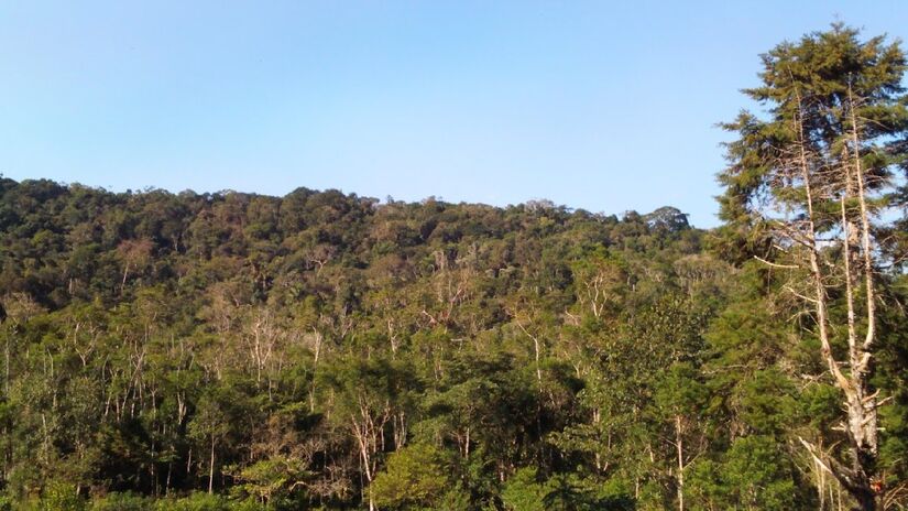 Localizada nos contrafortes (ramificações laterais) da Serra do Mar, seu terreno é montanhoso com declives e vales em "V", vegetação natural e floresta tropical úmida de encosta - (Divulgação/Governo de SP)