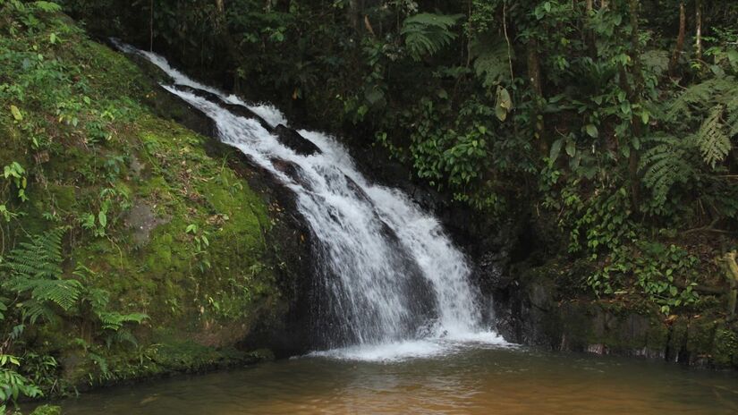 Abrigo do Aracê Refúgio Ecológico, um espaço de lazer para experiências únicas, o local é conhecido por ter uma biodiversidade muito rica e uma conexão muito forte com a natureza - (Divulgação/Arecê)