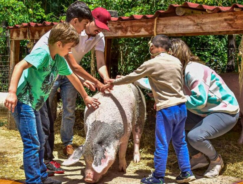 Natureza Conecta promove a interação com os bichos, o que permite criar vínculos, propor oportunidades de autoconhecimento e descobertas. Foto: Divulgalção

