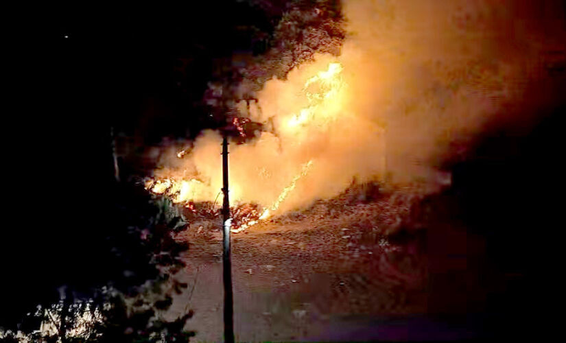 Fogo atinge área de mata na zona sul de São Paulo. 
Foto: Reprodução/Tv Globo