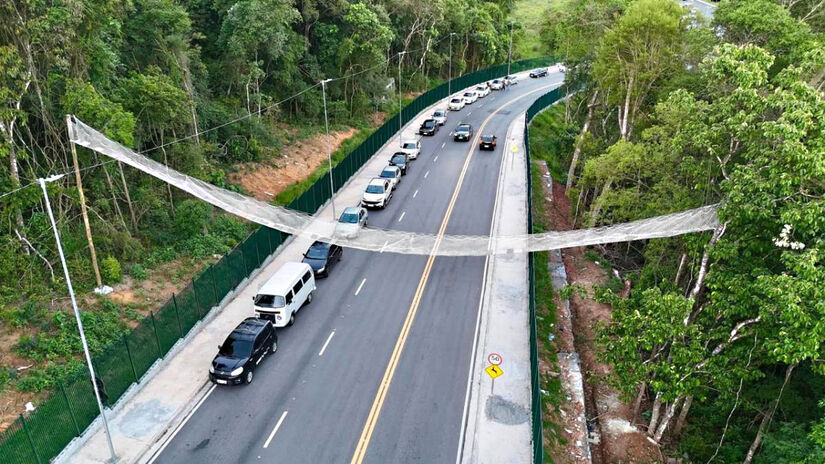 A avenida passa pela Reserva Tamboré e, por isso, tem um sistema complexo de proteção à fauna. 