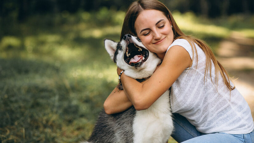 Pets não gostam de ser frequentemente apertados - Foto: Senivpetro/Freepik