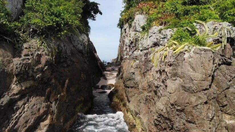 Esses passeios são uma excelente oportunidade para apreciar a paisagem deslumbrante que envolve a ilha e conhecer a rica biodiversidade da região, que é um refúgio para várias espécies de fauna e flora - (Reprodução/YouTube/Caminhos do SUP)