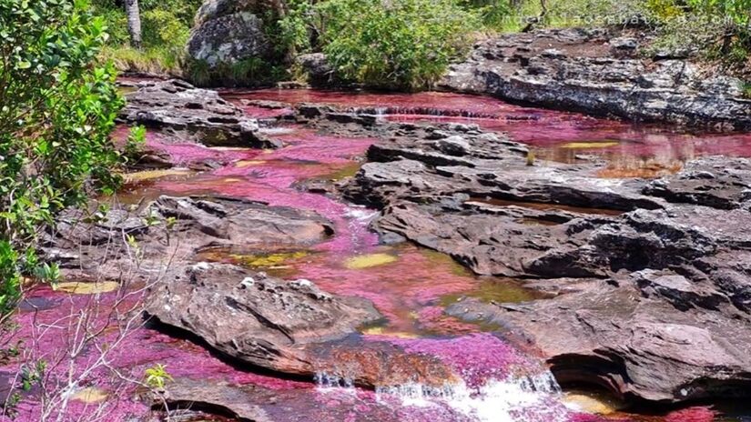 O rio, cercado por uma vegetação exuberante e pequenas cachoeiras, proporciona aos turistas uma sensação de imersão em um verdadeiro paraíso natural. Foto: Reprodução/Youtube/MOCHILÃO SABÁTICO