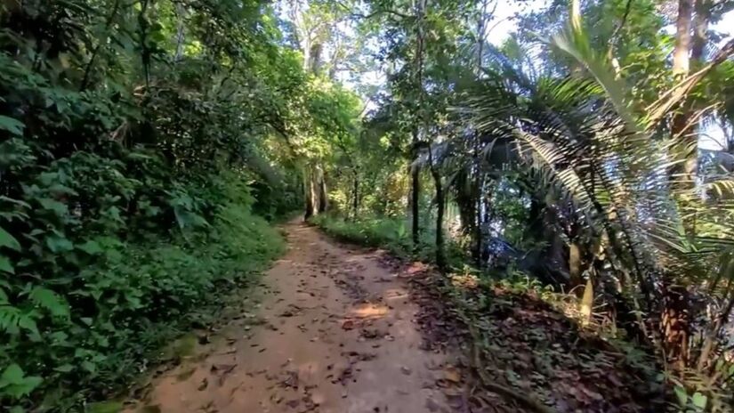 O percurso, com cerca de 10 km de extensão (somente ida), oferece vistas deslumbrantes, muita tranquilidade e um contato íntimo com a natureza. Foto: Reprodução/Youtube/Ubatuba e o mundo