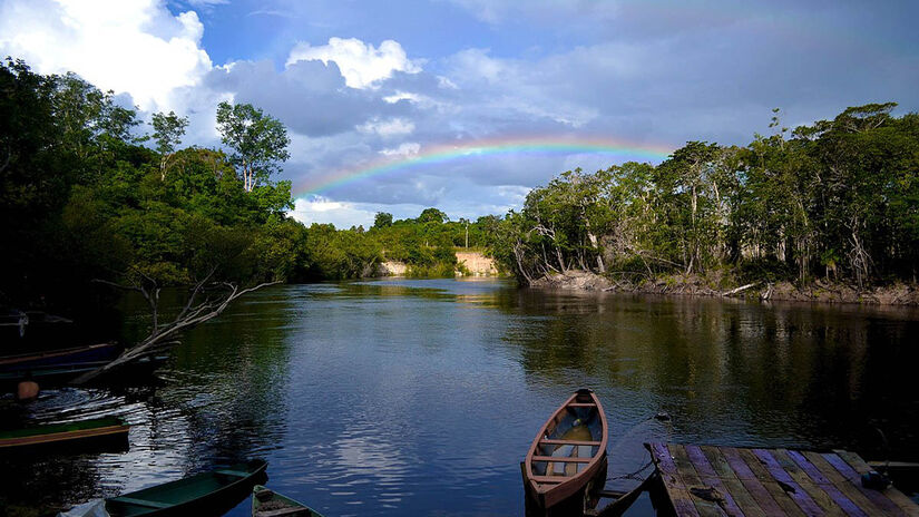 Amazônia (Amazonas e Pará) - Foto: Sharlene Melanie/Wikimedia Commons