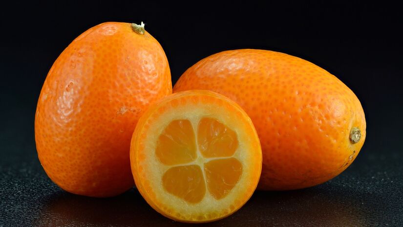 Kumquat - Citrus fortunella margarita é uma variedade de frutas cítricas, perfeita para envasamento. Foto: Wikimedia Commons