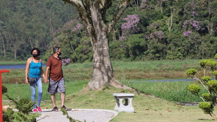 Jardim zen: reflexão e contemplação: O jardim zen, com areia e pedras, simboliza o mar e suas ondulações. É um convite para momentos de meditação e tranquilidade.  