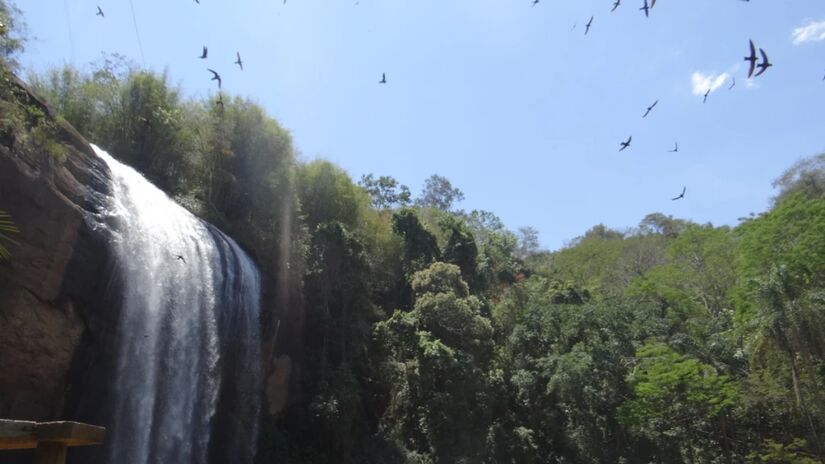 O local é referência em preservação ambiental, tendo mais de 20 mil metros quadrados de mata nativa. Para os amantes da natureza, é o espaço ideal para se reconectar com a natureza e recarregar as baterias do cansaço do cotidiano - (Divulgação/Cachoeira Grande)