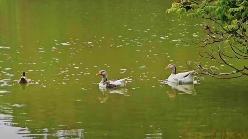 As fontes de água mineral estão localizadas no Parque das Águas, um ponto turístico que mistura ciência e crenças sobre poderes curativos. Essas águas também possuem propriedades diuréticas, auxiliando na eliminação de toxinas.