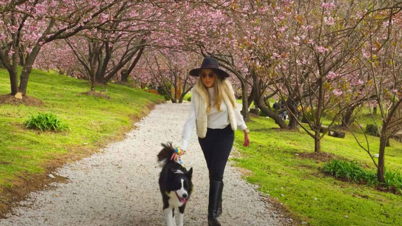 Campos do Jordão está na Serra da Mantiqueira.
A cerca de 180 km de São Paulo, é um refúgio para todas as estações.