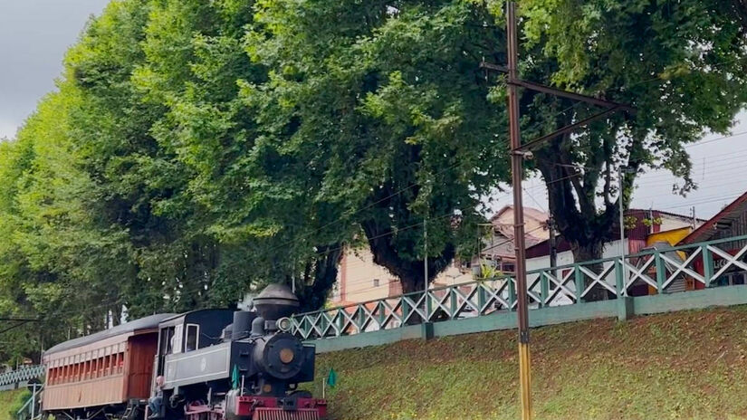 No verão, um refúgio fresco.
O clima ameno atrai turistas que buscam escapar do calor das metrópoles.