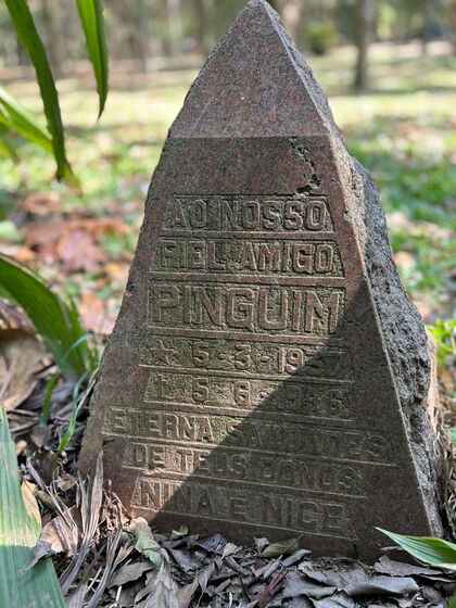 Homenagem a Pinguim, cachorro sepultado no Parque Ibirapuera/Thiago de Souza/O Que Te Assombra