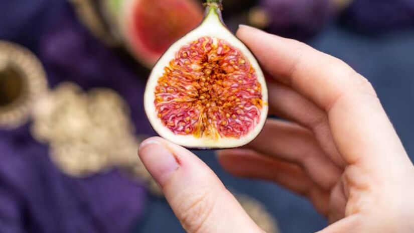 A figueira, planta que dá origem ao figo, pertence à família Moraceae. Outras plantas dessa família incluem a amora preta, a jaqueira e a amora branca.