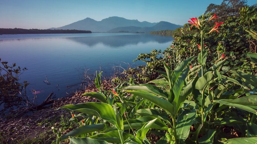 A conservação da Ilha do Cardoso é resultado do esforço conjunto de comunidades caiçaras, guias ambientais e gestores do parque estadual. Foto: Wikimedia Commons