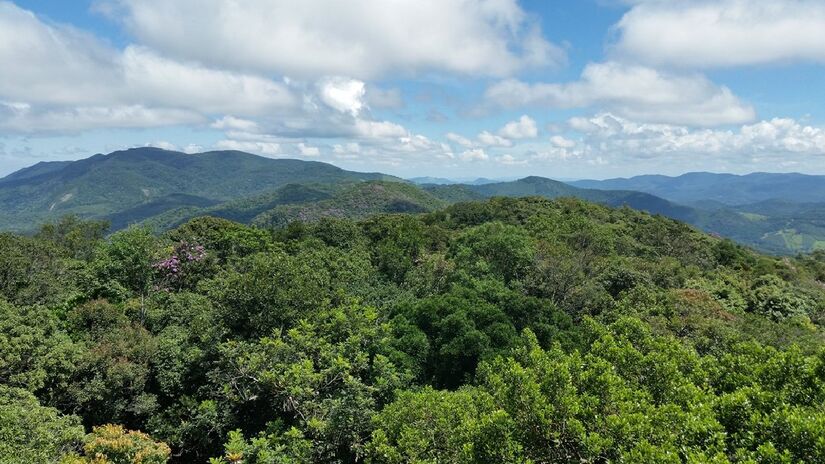 Criado em 2010, o Parque Estadual Itaberaba é um importante corredor ecológico, entre a Serra da Cantareira e a Serra da Mantiqueira, e sua área de mais de 15 mil hectares preserva importantes remanescentes da Mata Atlântica e bacias hidrográficas que abastecem o Sistema Cantareira - (Divulgação/Governo de SP)