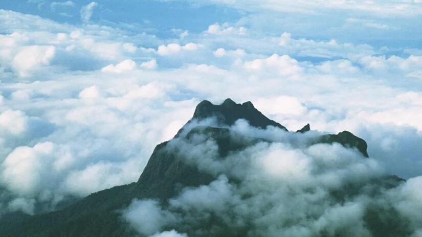 1 e 2. Pico da Neblina e Pico 31 de Março - AM: Com 2.995,3 metros, o Pico da Neblina é o ponto mais alto do Brasil, proporcionando uma vista deslumbrante acima das nuvens para os aventureiros que buscam desafios. Ao seu lado, o Pico 31 de Março tem 2.974,2 metros, e é ideal para quem deseja explorar a biodiversidade amazônica e se conectar com a natureza.