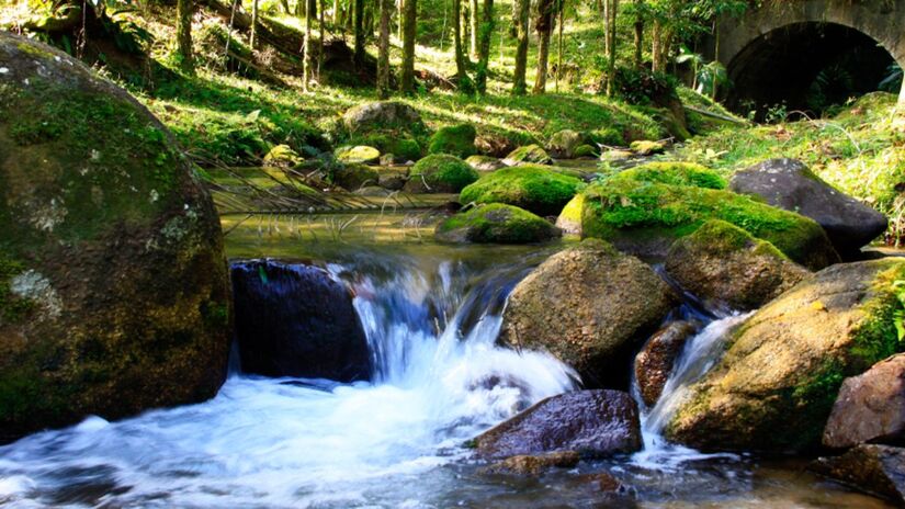 Entre as opções de ecoturismo, a Trilha da Cachoeira Ribeirão Branco é uma das mais conhecidas. Foto: Divulgação/Governo de SP