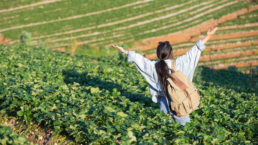 Com paisagens de tirar o fôlego e atividades para todos os gostos, o Vale do Ribeira é um convite para se conectar com a natureza, conhecer a história e a cultura da região e desfrutar de momentos inesquecíveis. Foto: Freepik