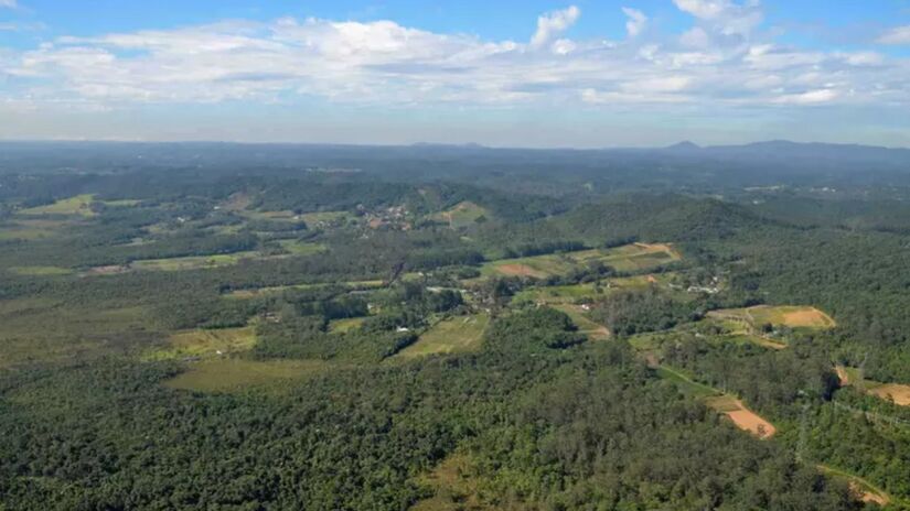 Essa alta taxa de arborização é um reflexo da abundância de parques e áreas protegidas na região, importantes para a melhoria da qualidade do ar, a regulação do clima e a proteção da biodiversidade local. Foto: José Cordeiro/SPTuris