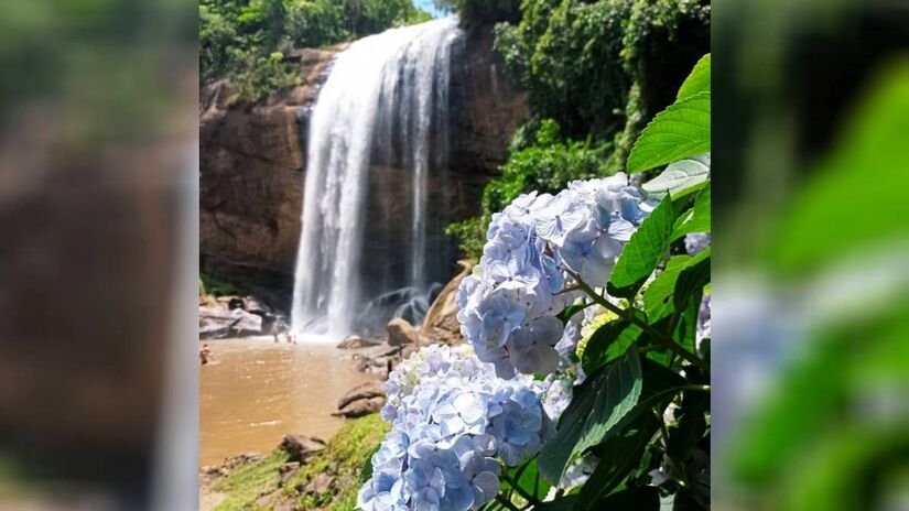 A atração fica na Estrada da Cachoeira Grande, Lagoinha - SP. Partindo da Capital, são cerca de duas horas até o local. O local funciona aos sábados, domingos e feriados, das 9h às 17h. A entrada custa R$ 22 por pessoa. Crianças com menos de 12 anos não pagam e pessoas com mais de 60 anos têm 50% de desconto - (Divulgação/PML)