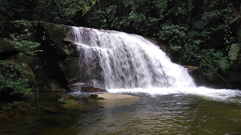 A trilha Cachoeira do Ribeirão Branco possui em torno de 10 quilômetros, ida e volta, que são percorridos em cerca de três horas - Foto: Governo do Estado de São Paulo