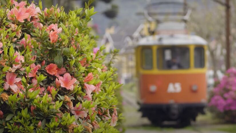 Campos do Jordão é perfeita para quem gosta de atividades ao ar livre. Montanhas, florestas e trilhas fazem parte do cenário da cidade.