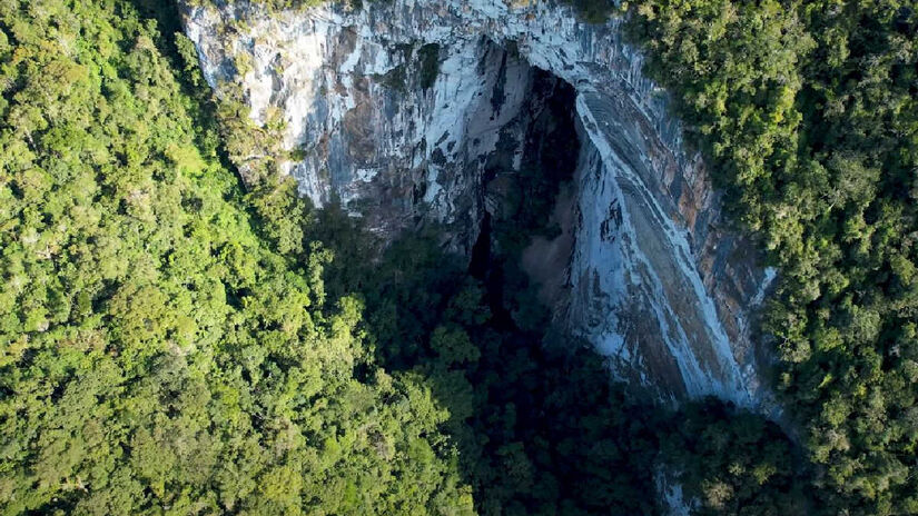 O Parque Estadual Turístico do Alto Ribeira, conhecido como Petar, é um tesouro natural no sul de São Paulo. Ele abriga cerca de 35 mil hectares de Mata Atlântica preservada.  