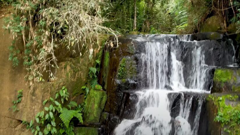 As cavernas são o grande destaque do parque, com formações impressionantes e rios subterrâneos. Doze delas estão abertas à visitação, oferecendo experiências inesquecíveis.  