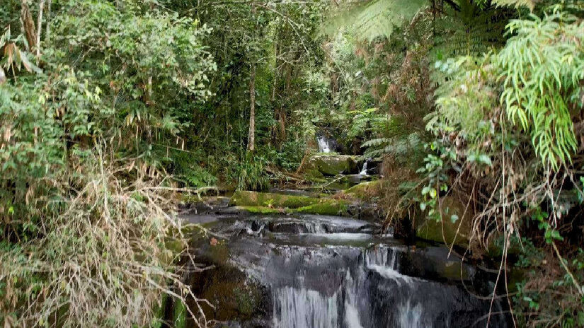 A Caverna Santana é uma das mais famosas do Petar. Ela encanta com seus salões imensos, formações calcárias e um rio subterrâneo cristalino.  