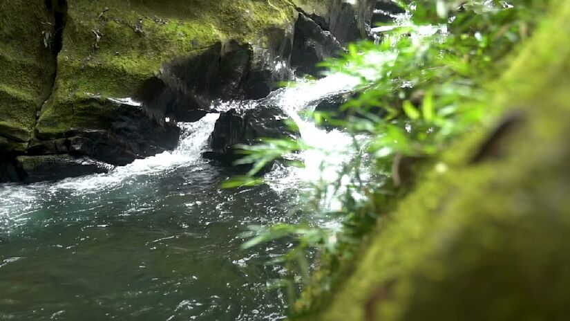 Os passeios no Petar exigem acompanhamento de monitores credenciados. Isso garante uma experiência segura e ajuda na preservação da natureza. 