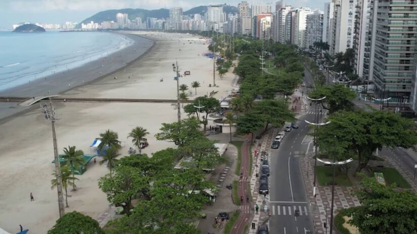 A escolha das plantas leva em conta as condições climáticas de Santos. Elas precisam ser resistentes à maresia, ventos fortes e altas temperaturas.