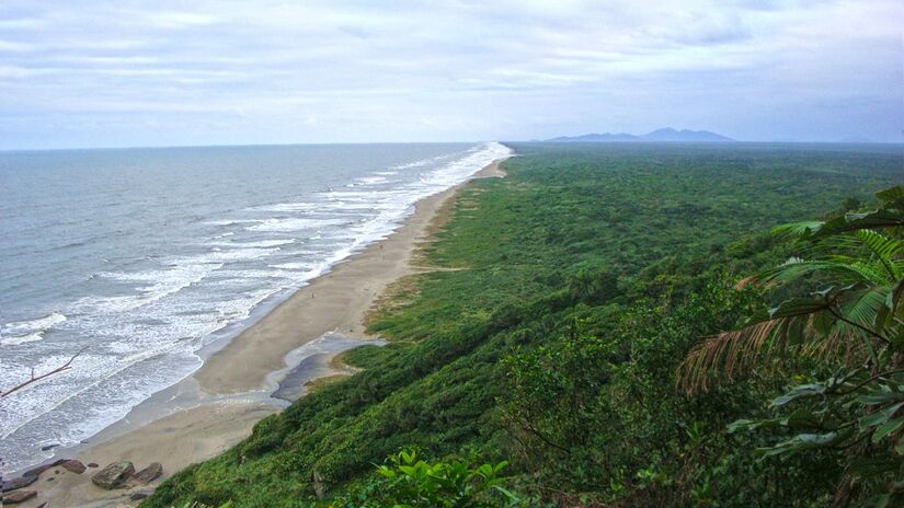 Praia da Jureia, com seus dezenove quilômetros de extensão, vista do Alto do Costão. Foto: Wikimedia Commons