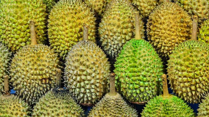 O cheiro da durian lembra uma combinação de enxofre, esgoto, frutas, mel e cebolas podres assadas - Foto: Jonny Clow na Unsplash