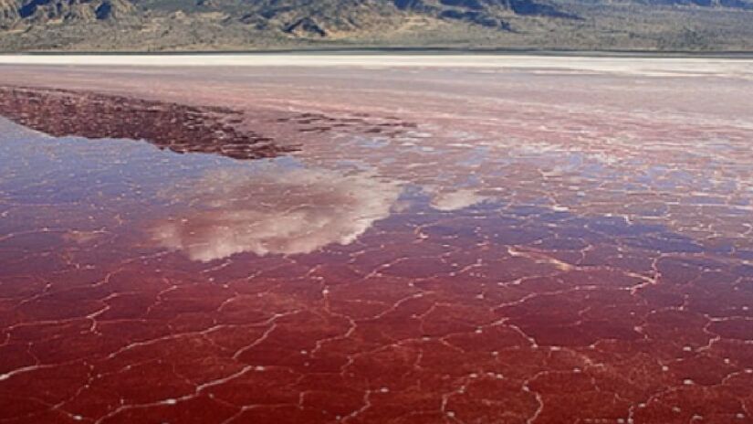 Lago Natron - Tanzânia: As águas deste lago são tão salgadas que parecem petrificar os animais que entram em contato com ela. Porém, na realidade os corpos são preservados por sais minerais após a morte, criando a ilusão de estátuas - (Reprodução/YouTube)