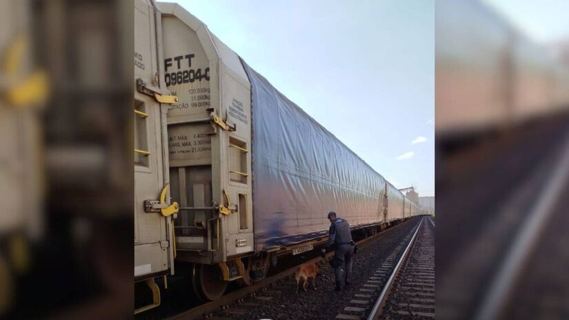 Cães farejadores auxiliaram as equipes na investigação nos vagões de trem e nas barcaças para coibir atividades criminosas.
Divulgação/PMESP