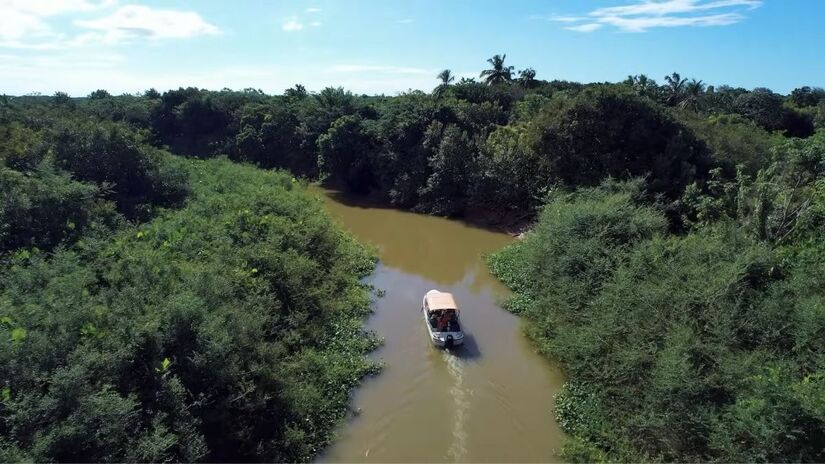 O passeio de barco caminha pelo meio da natureza (Fonte: Reprodução/Youtube)