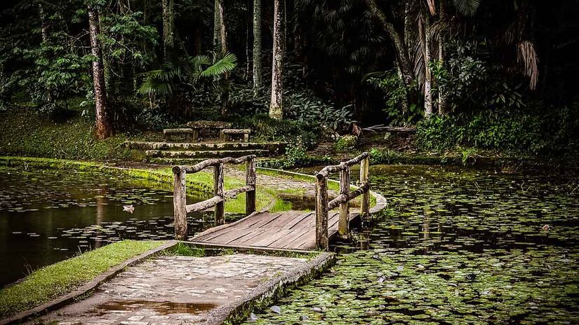 A Trilha da Nascente fica no Parque Estadual das Fontes do Ipiranga, na cidade de São Paulo - Foto: Urielpassosrios / Wikimedia Commons